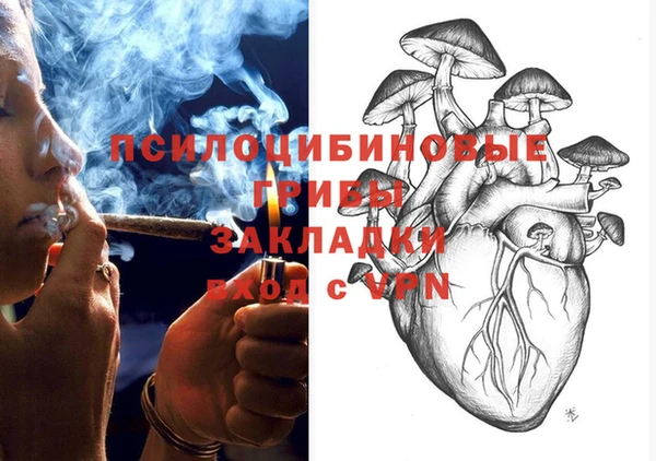 эйфоретик Дмитриев