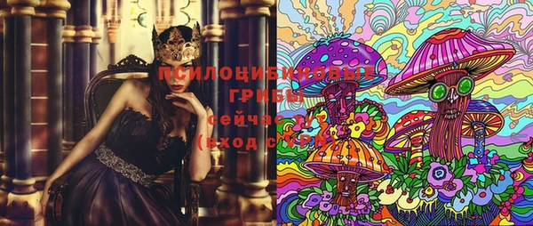 mdpv Елизово